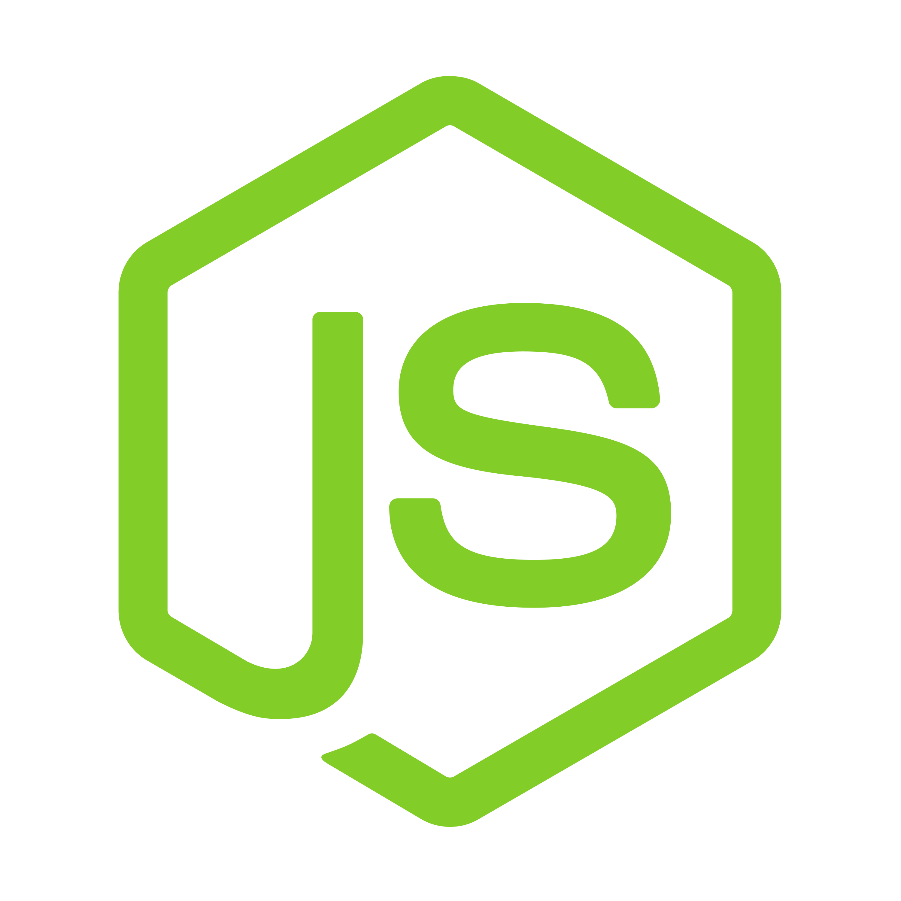 Node JS Developer