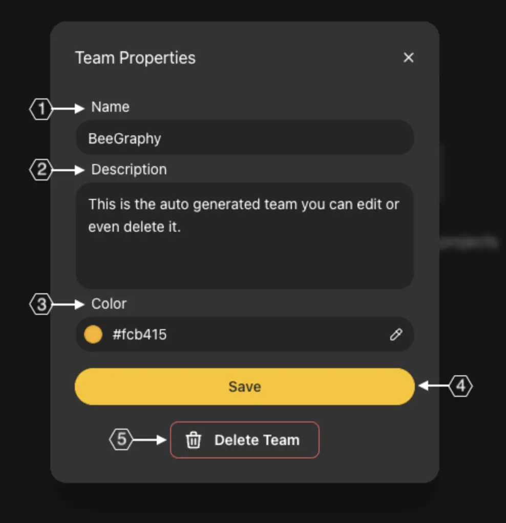 Team Properties