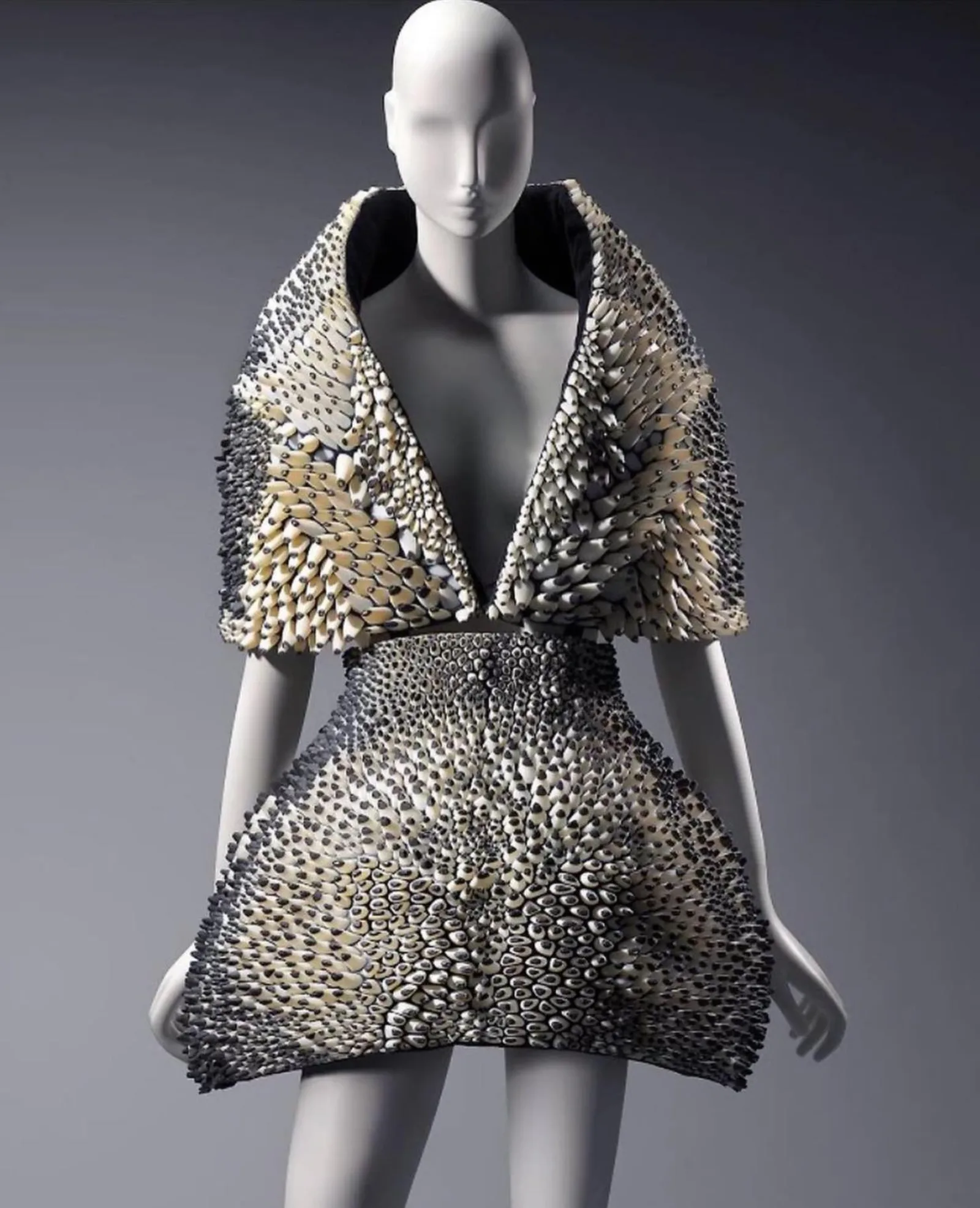 Silk Pavilion-inspired Garments